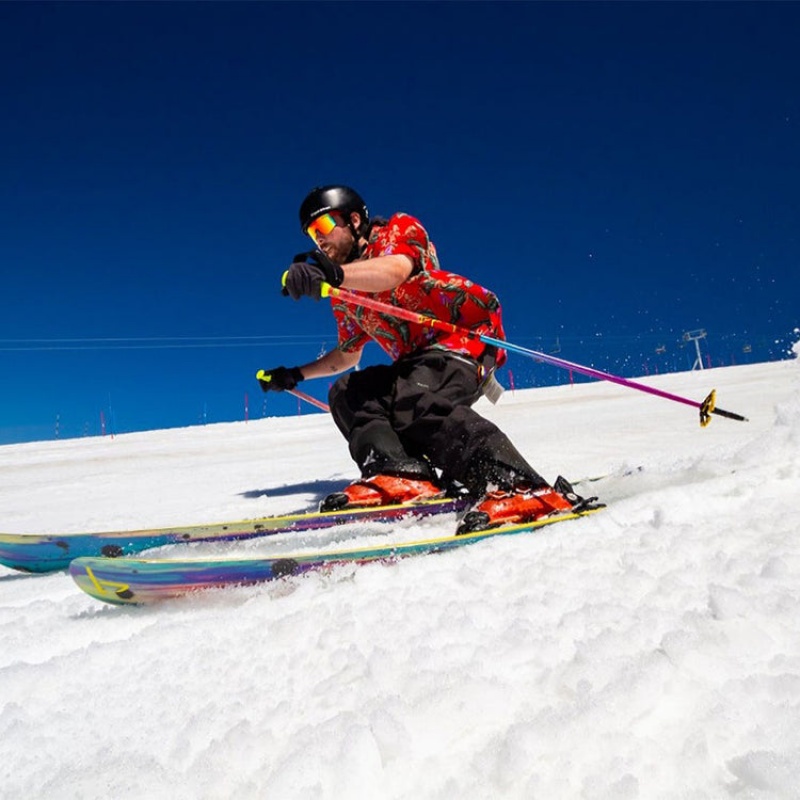 Otros Accesorios Pit Viper Hotshot Ski Poles Multicolor | 8152LUTSV