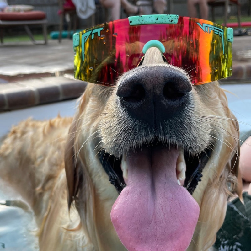 The 2000s Pit Viper Poseidon Polarized Verdes | 9486RUJOF
