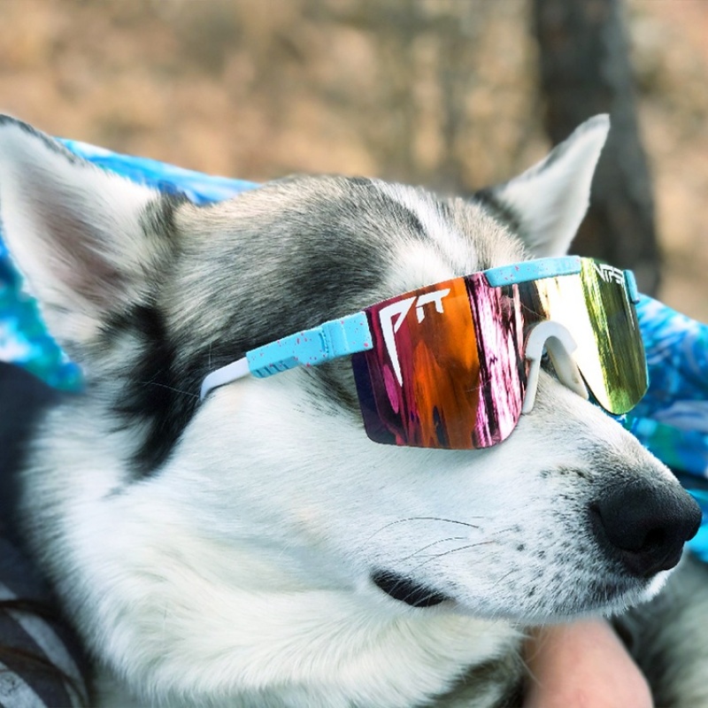 The Originals Pit Viper Gobby Polarized Azules | 2450OQBRT