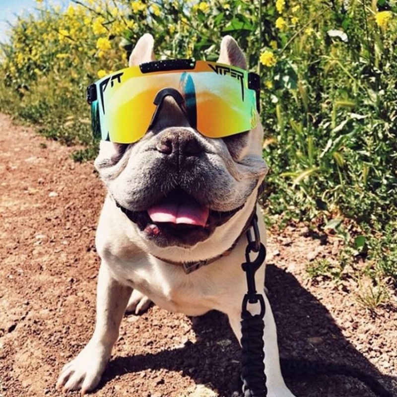 The Originals Pit Viper Monster Bull Polarized Negros | 4170YOGZX