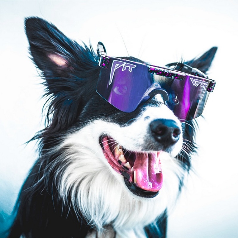 The Originals Pit Viper Night Fall Polarized Negros Multicolor | 2869XVNIZ