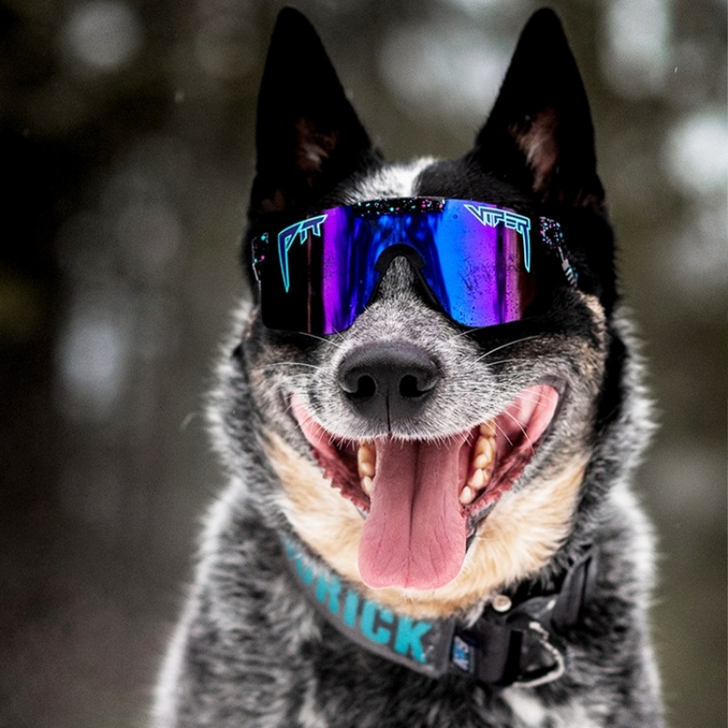 The Originals Pit Viper Night Fall Polarized Negros Multicolor | 2869XVNIZ